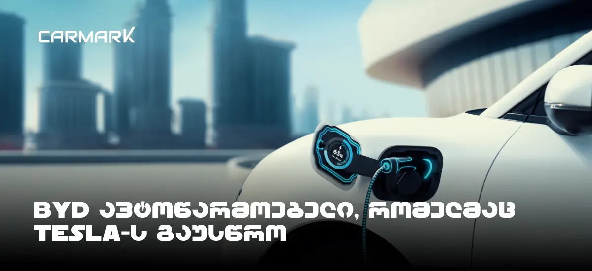 BYD — ავტომწარმოებელი, რომელმაც Tesla-ს გაუსწრო 